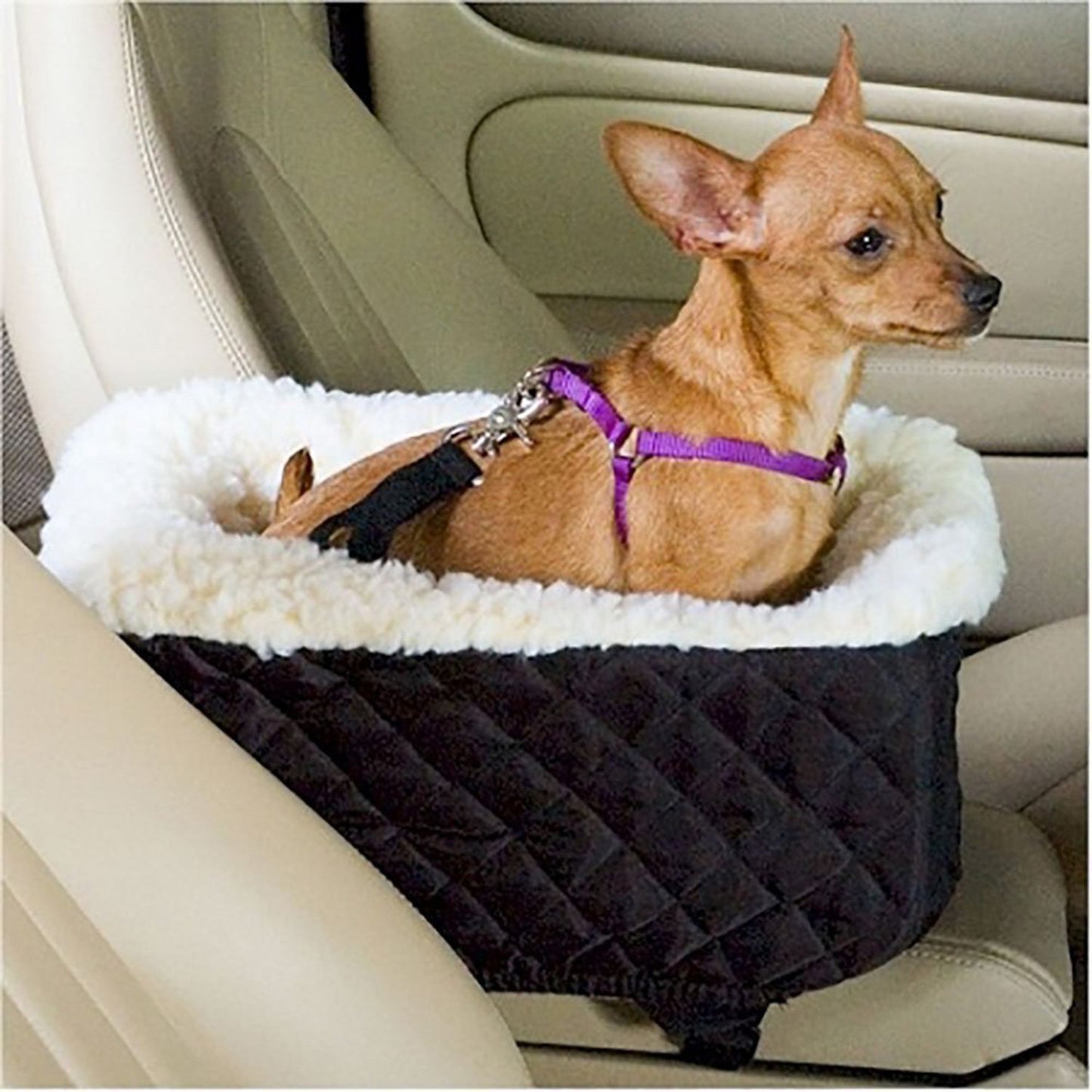 Pet Basket