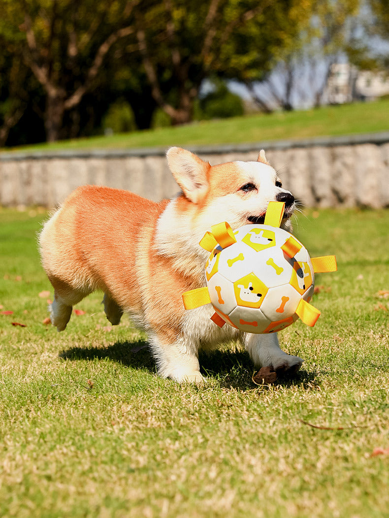 Dog Toy Football