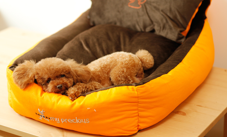 Three-piece Pets Bed