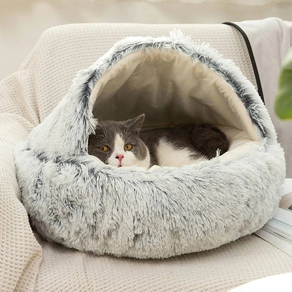 CosyHood