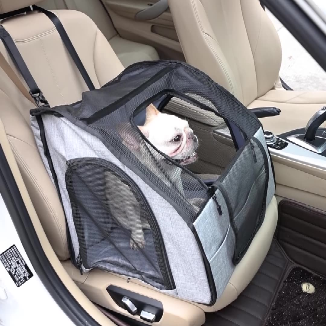 Small Dog Cage
