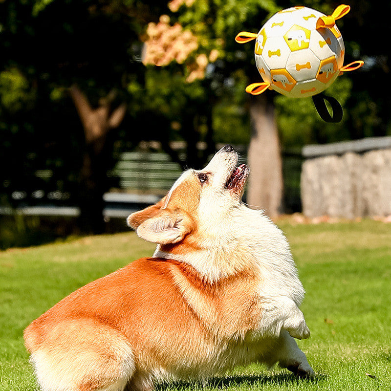 Dog Toy Football