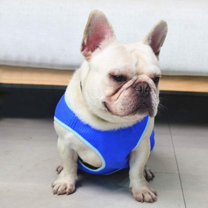 Dog cooling vest in BD