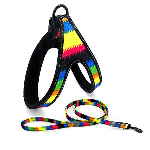 Dog Leash in USA