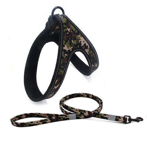 Dog Leash in Canada