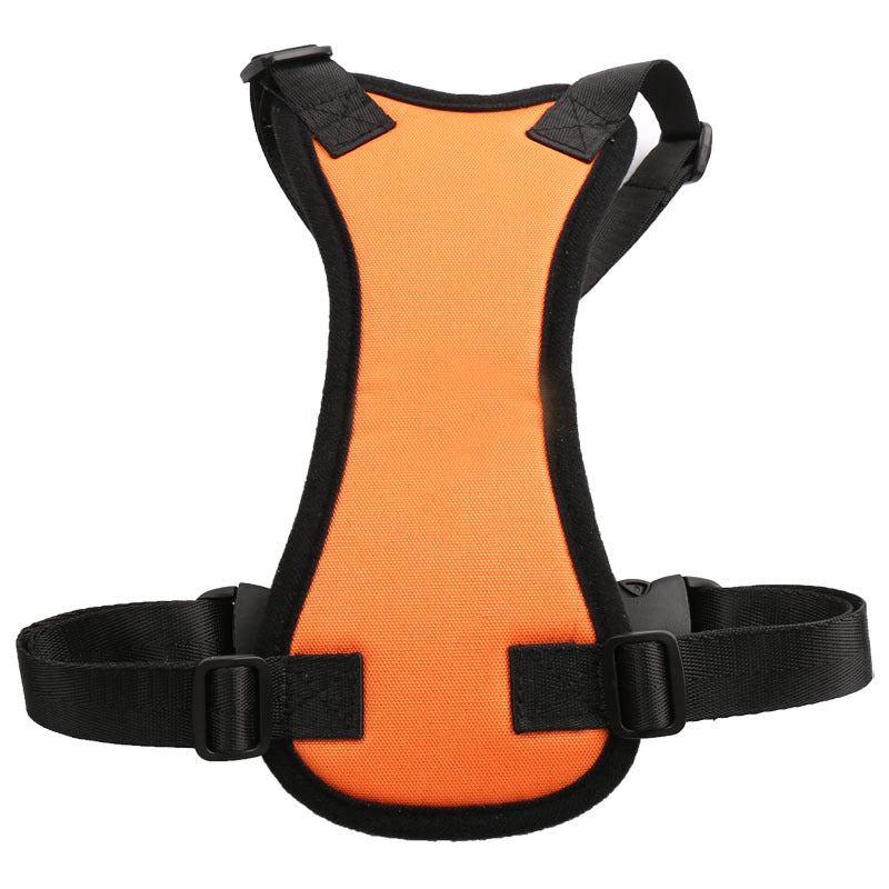 Car seat belts for pets in CA