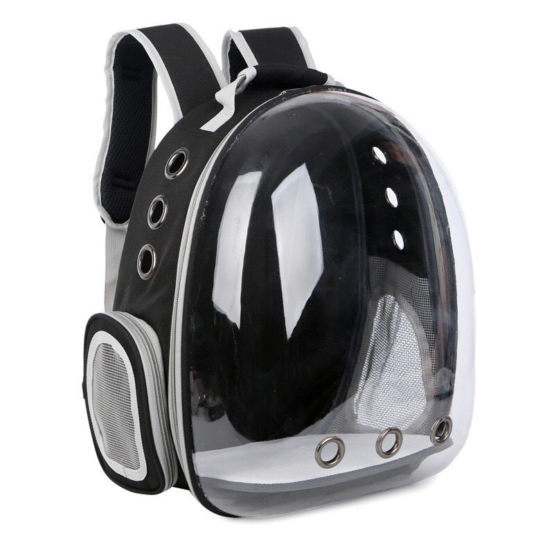 Pet Backpack in ca