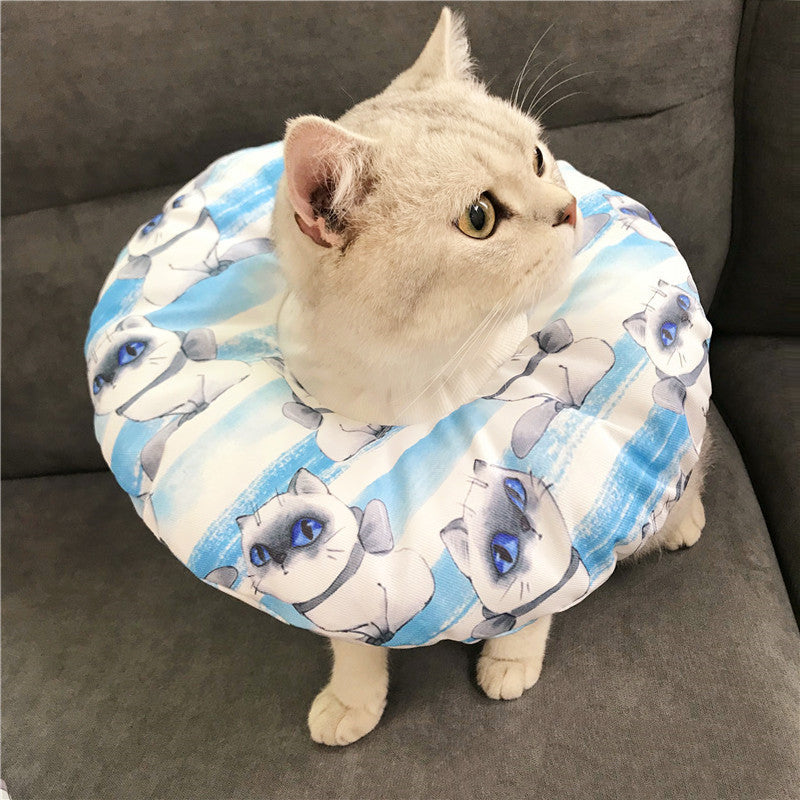 Anti-scratch Headgear for cat