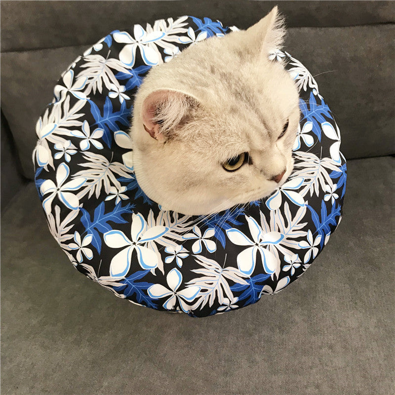 Anti-scratch Headgear for cat
