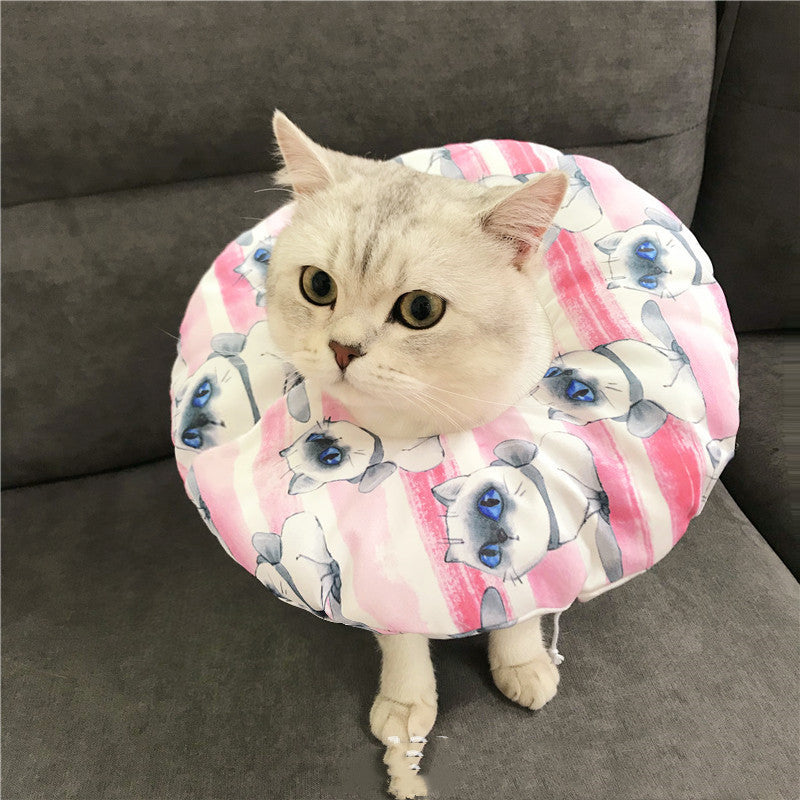 Anti-scratch Headgear for cat in USA