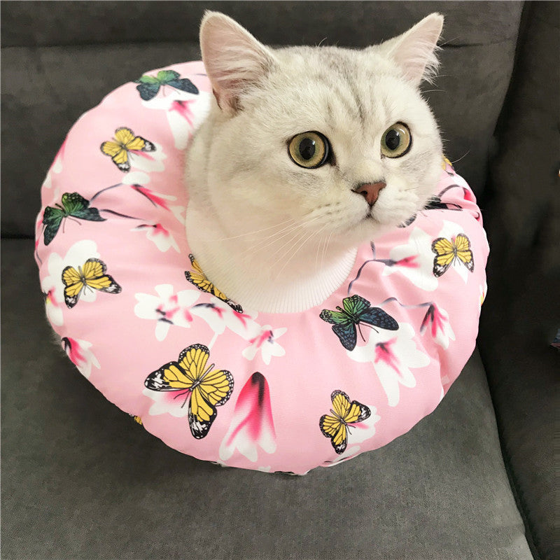 Anti-scratch Headgear for cat