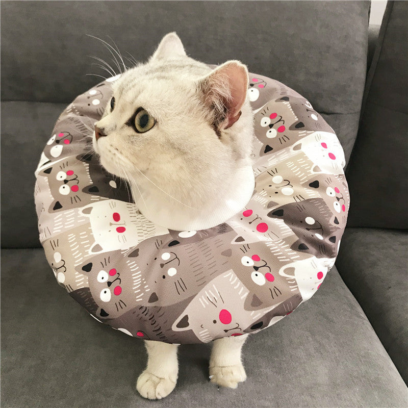 Anti-scratch Headgear for cat