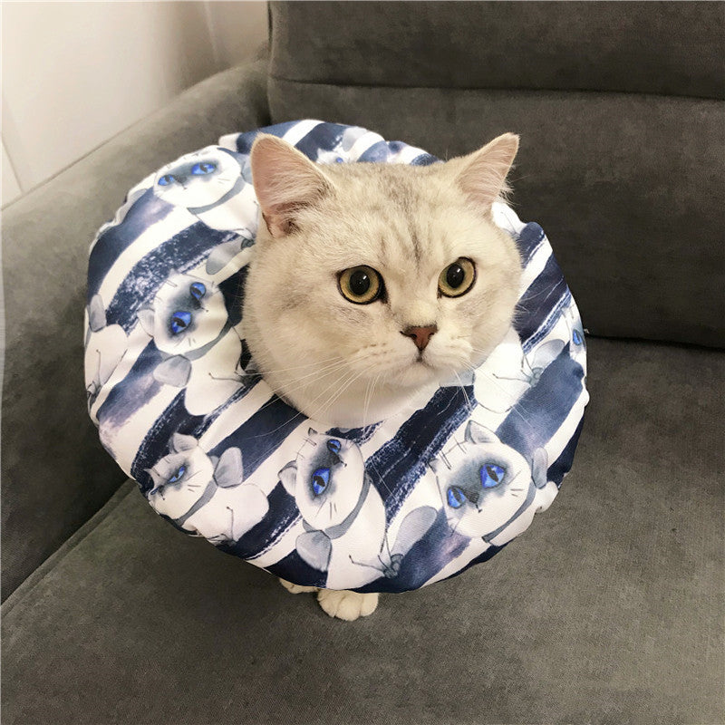 Anti-scratch Headgear for cat