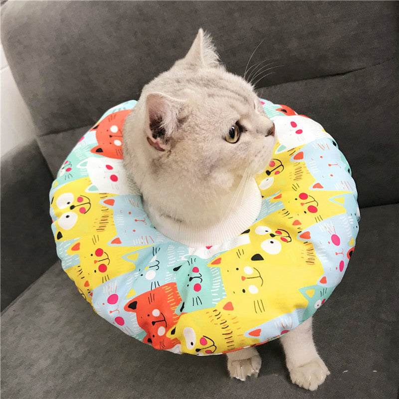 Anti-scratch Headgear for cat price