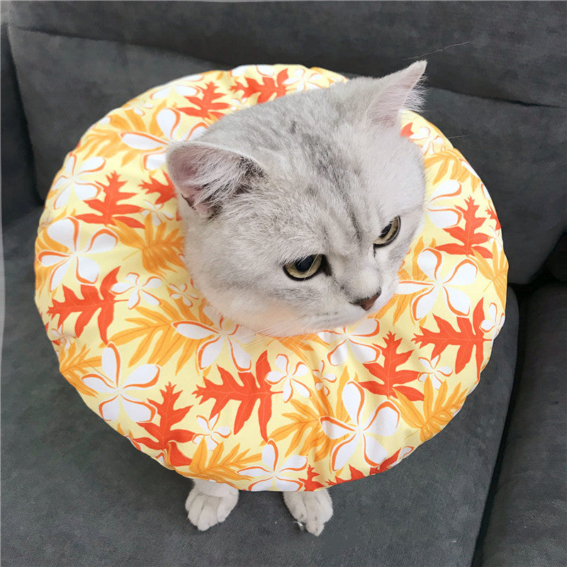 Anti-scratch Headgear for cat in Canada