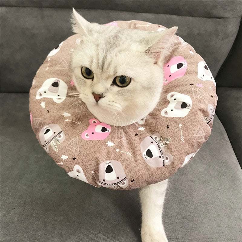 Anti-scratch Headgear for cat in NY