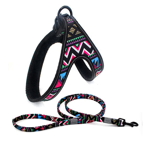 Dog Leash in usa