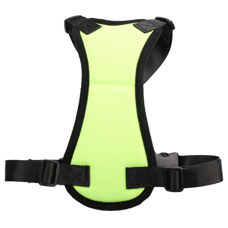 Car seat belts for pets in USA