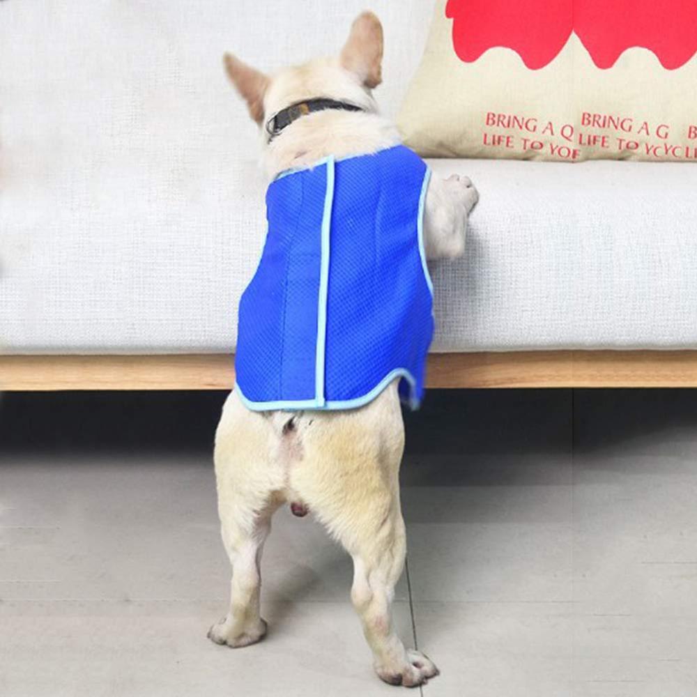 Dog cooling vest in India