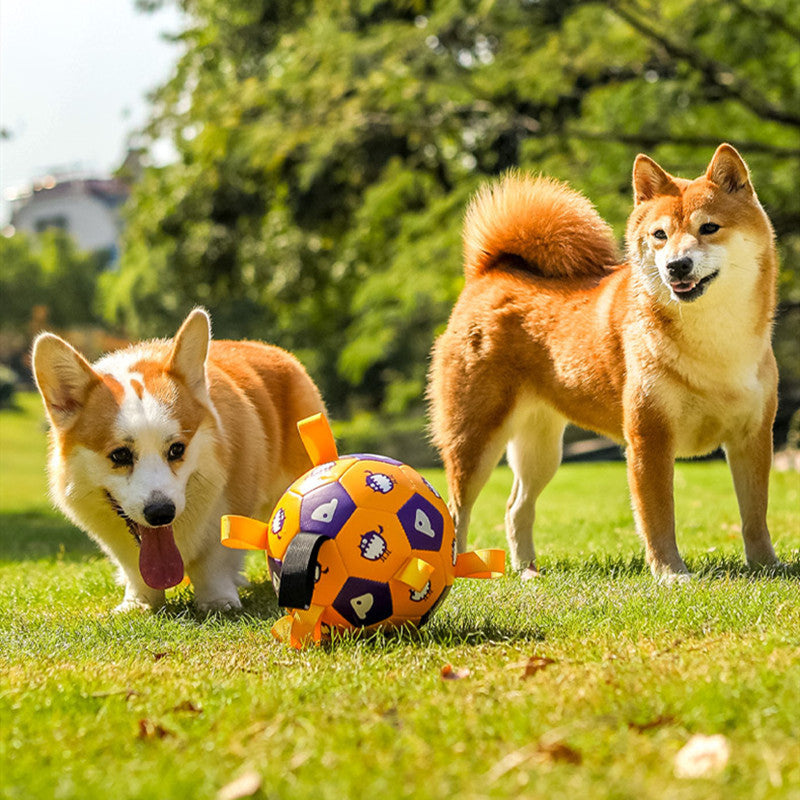 Dog Toy Football