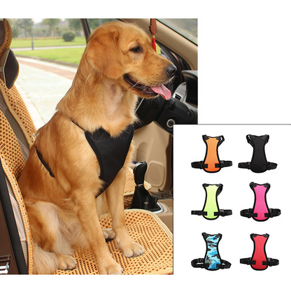 Car seat belts for pets in USA