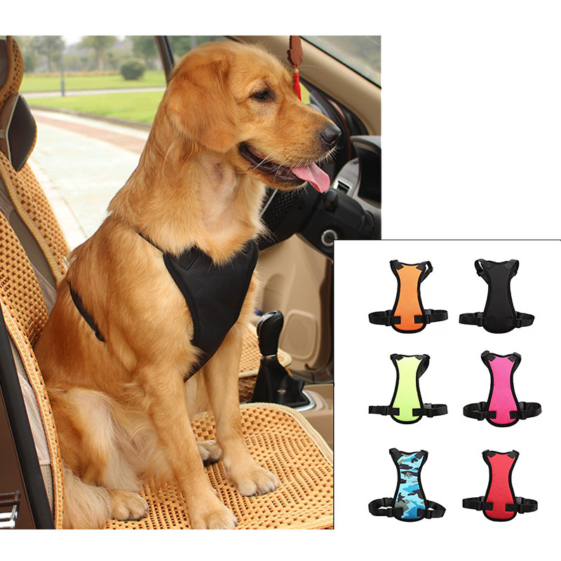Car seat belts for pets in USA
