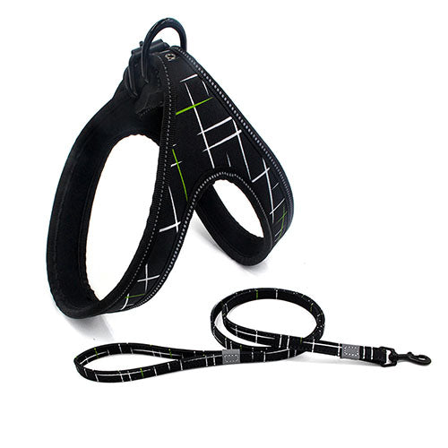 Dog Leash