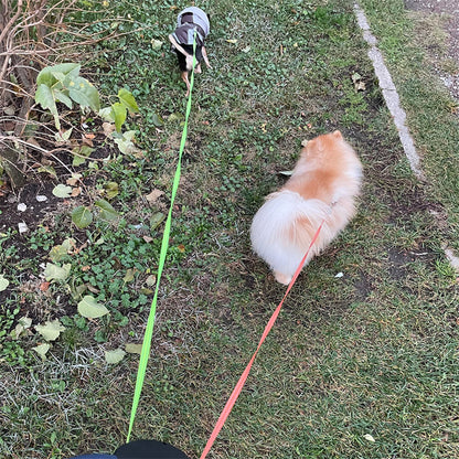Retractable Dog Leash in USA