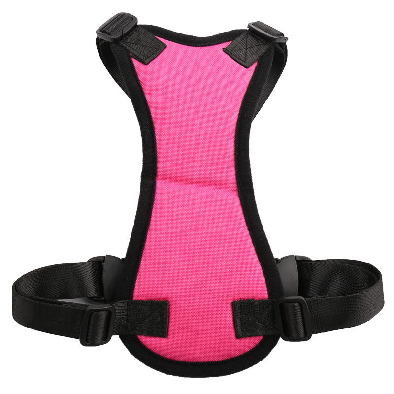 Car seat belts for pets in CA
