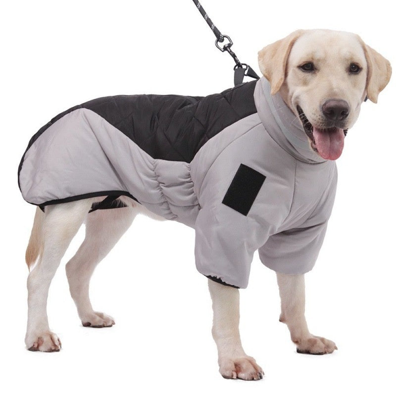 Dog Jacket For Winter