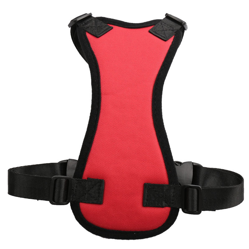 Car seat belts for pets in USA