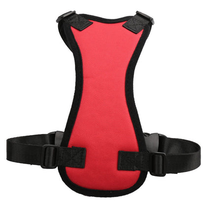 Car seat belts for pets in USA