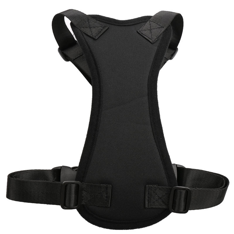 Car seat belts for pets in USA