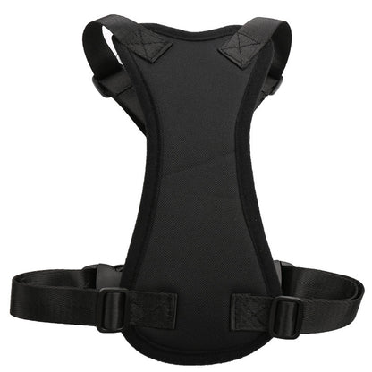 Car seat belts for pets in USA