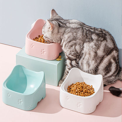 Affordable Ceramic bowl for pets