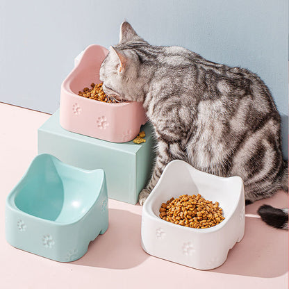 Affordable Ceramic bowl for pets