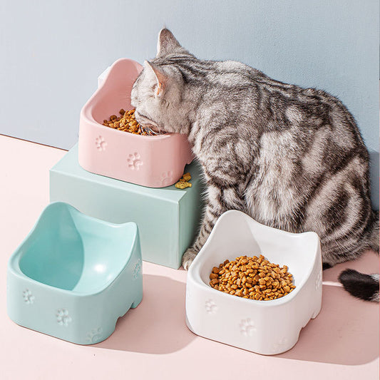 Affordable Ceramic bowl for pets