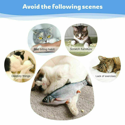 Electric Fish Cat Toy  in usa