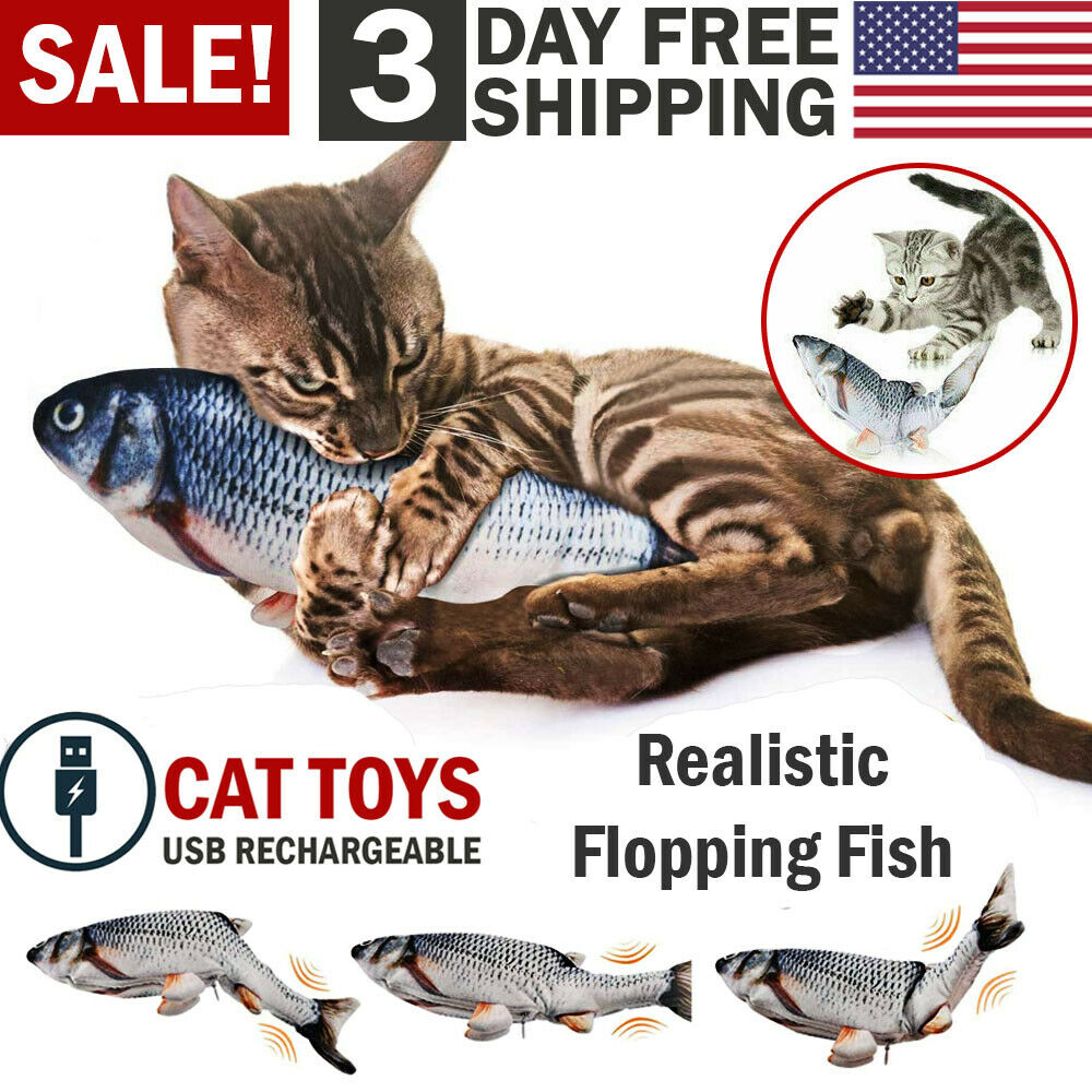 Electric Fish Cat Toy in USA