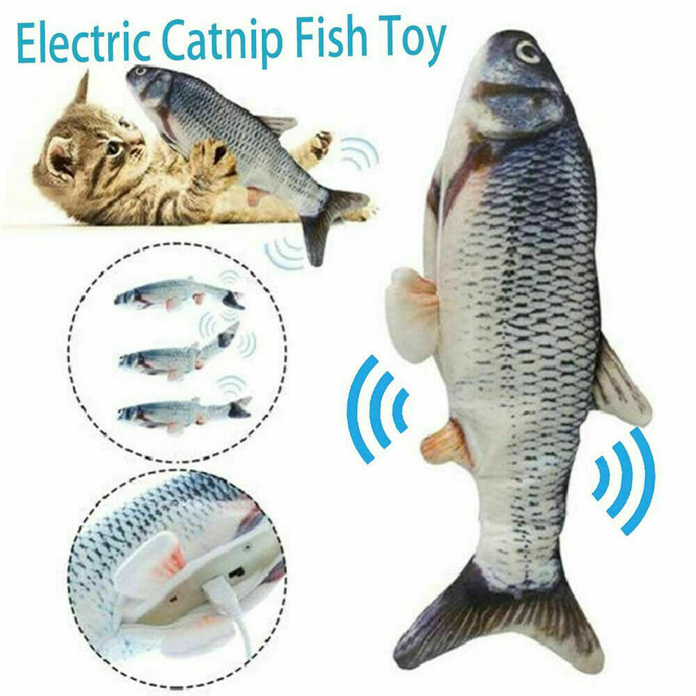 Electric Fish Cat Toy in canada