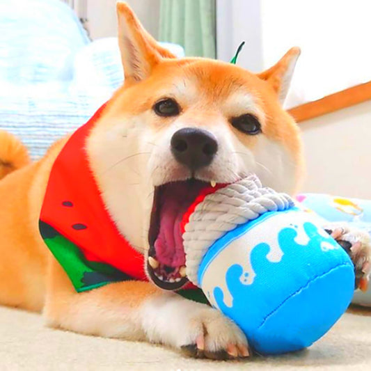 Grinding Teeth Cleaner Toy