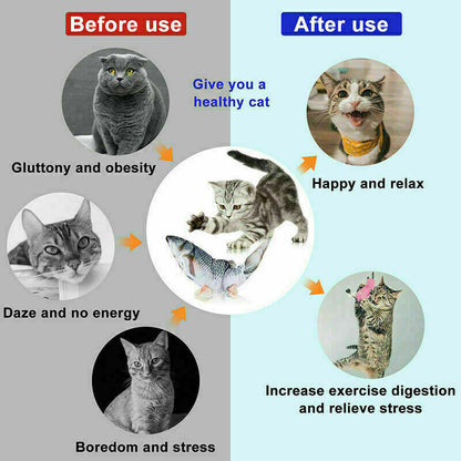 Electric Fish Cat Toy 