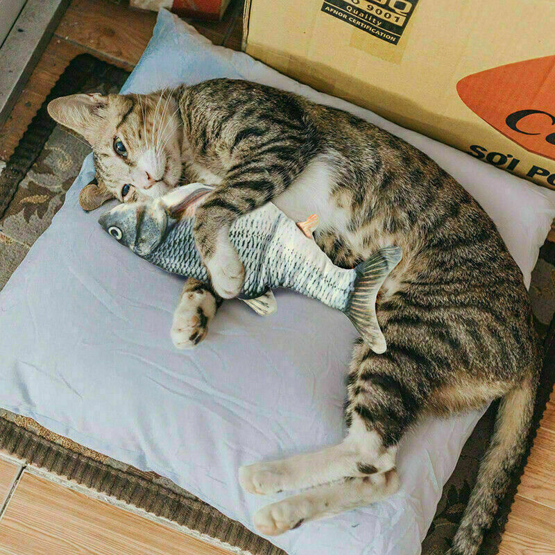 Electric Fish Cat Toy 